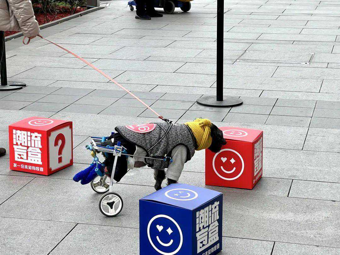 职场八八六十四卦之-无妄卦