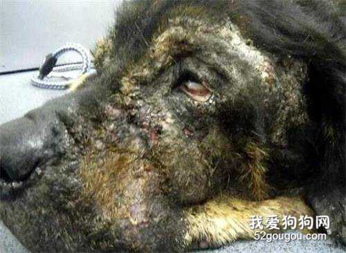 别不信！60岁的你若出现这4个反常，老天已在渡你，好运马上就来