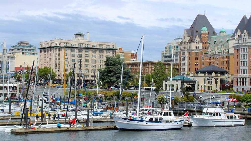 身份证中神秘的X代表啥 真相让人傻眼