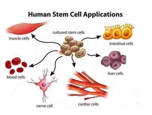 《易经》离卦：烈火重生一一至暗时刻