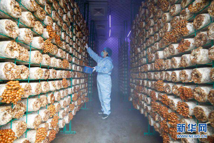 深度剖析：梦境中的暗示，你看懂几个？