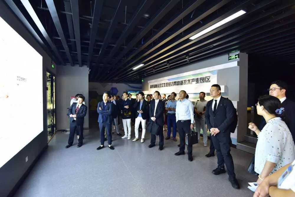 双子座运势，被加纳的一天