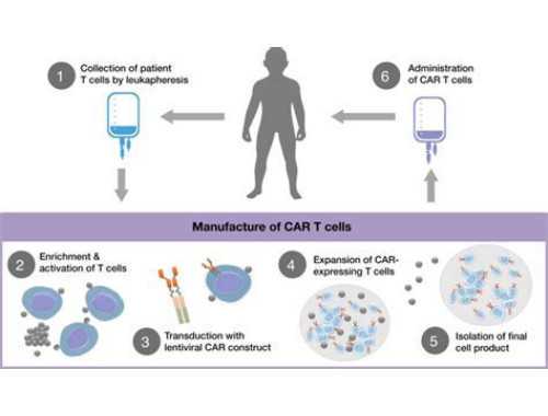 《滴天髓》旺衰篇