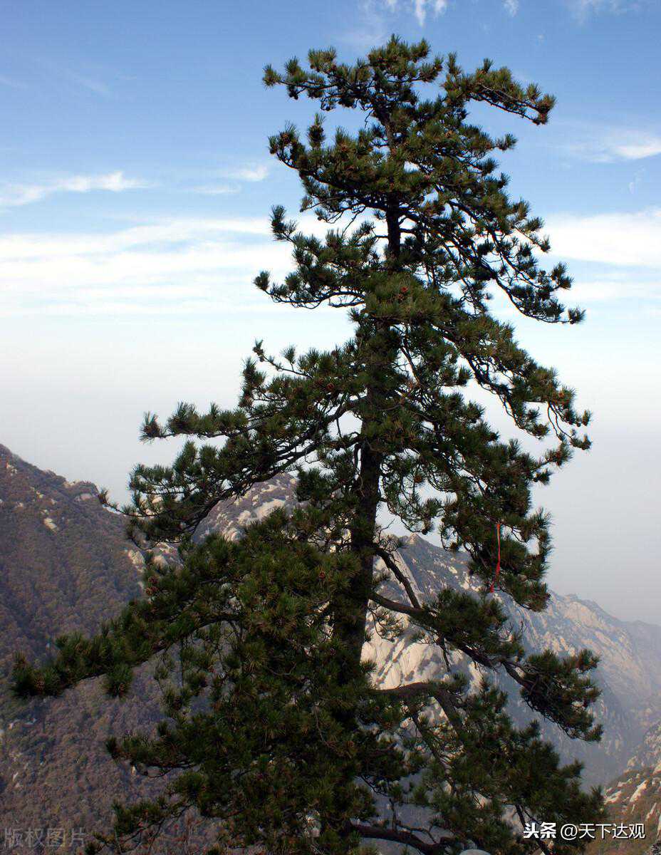 就在今晚！属马人运势大爆发，错过等一年