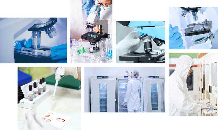 易经预测学（六爻）基础篇第十五课《排卦2：定世爻、应爻》