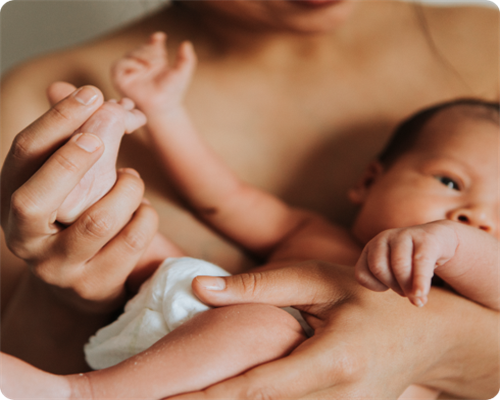 8月24日十二生肖运势播报