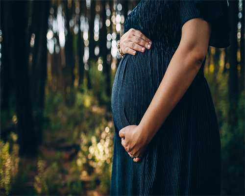 属猪人必看！2025年运势全解析，抓住关键才能逆风翻盘