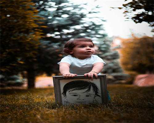 DeepSeek分析：属羊的人一生福气深厚，事业家庭皆圆满,生活安稳