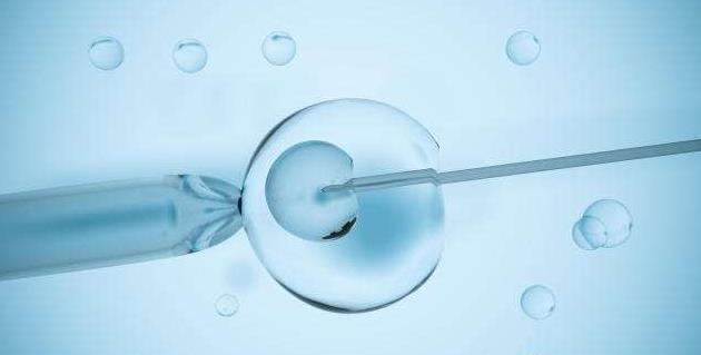 美国第二代试管婴儿技术在操作过程中会损伤卵子质量吗
