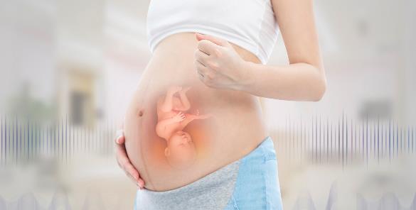单角可以做试管婴儿怀孕吗